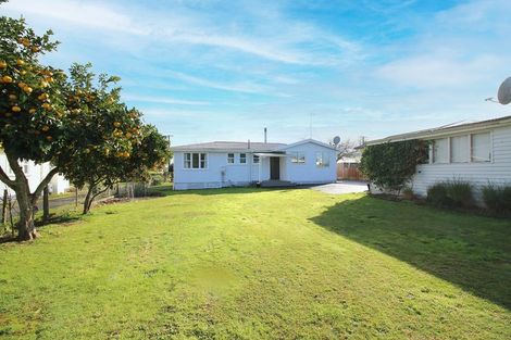 Photo of property in 65 Frontier Road, Te Awamutu, 3876