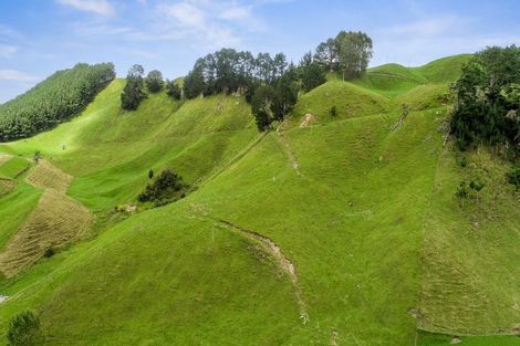 Photo of property in 1765 Tutukau Road, Ohakuri, Reporoa, 3083