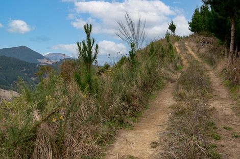 Photo of property in 266 Wairoa Gorge Road, Wairoa Valley, Brightwater, 7091