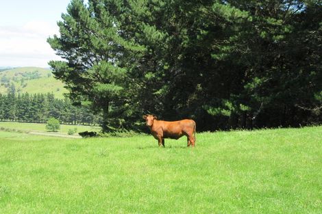 Photo of property in 3928 Porangahau Road, Porangahau, Waipukurau, 4284