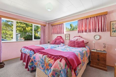 Photo of property in 22 Tararua Street, Pahiatua, 4910