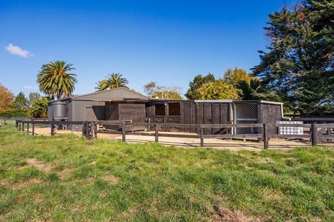 Photo of property in 292 Kairanga Bunnythorpe Road, Bunnythorpe, Palmerston North, 4478