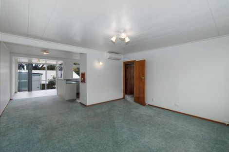 Photo of property in 509 Devon Street East, Strandon, New Plymouth, 4312