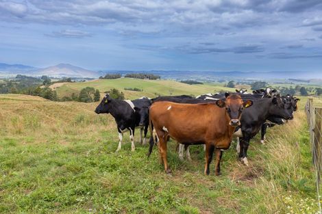 Photo of property in 870 Mangati Road, Puketotara, Te Awamutu, 3876