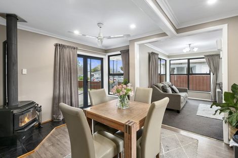 Photo of property in 14 Quinn Road, Levin, 5510