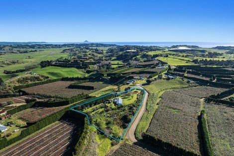 Photo of property in 501 Paerata Ridge Road, Waiotahe, Opotiki, 3198