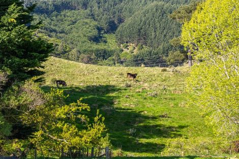 Photo of property in 7 Maungakotukutuku Road, Paraparaumu, 5032