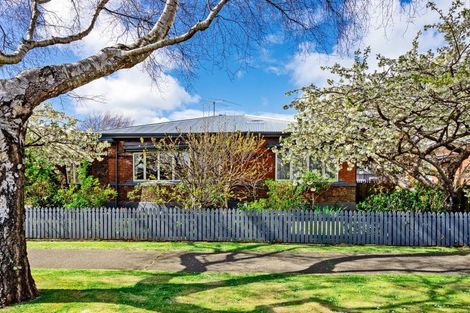 Photo of property in 58 Wellington Street, Georgetown, Invercargill, 9812