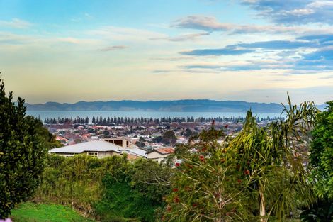 Photo of property in 42 Simla Terrace, Hospital Hill, Napier, 4110
