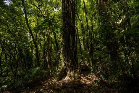 Photo of property in 185 Kanuka Rise, Wakapuaka, Nelson, 7071