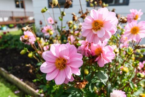 Photo of property in 44 Kaimanawa Street, Kelvin Grove, Palmerston North, 4414