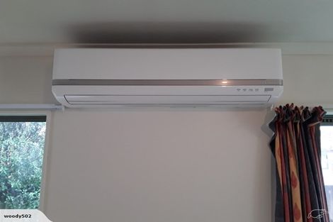 Photo of property in 217 Dey Street, Hamilton East, Hamilton, 3216