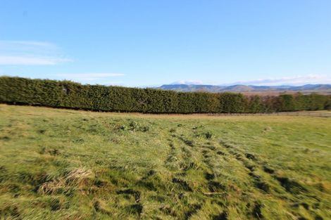 Photo of property in 310a Porangahau Road, Waipukurau, 4282