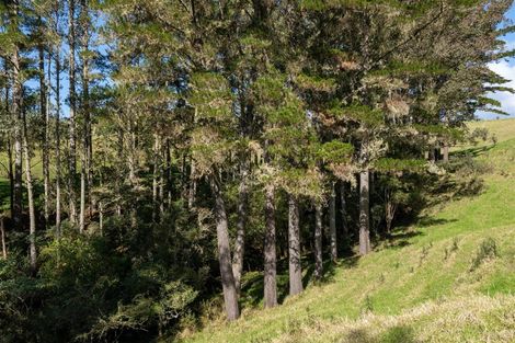 Photo of property in 42 Tirohanga Road, Kawakawa, 0282