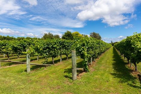 Photo of property in 58 Blicks Lane, Springlands, Blenheim, 7272