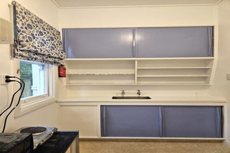 Photo of property in 20 Washington Avenue, Brooklyn, Wellington, 6021