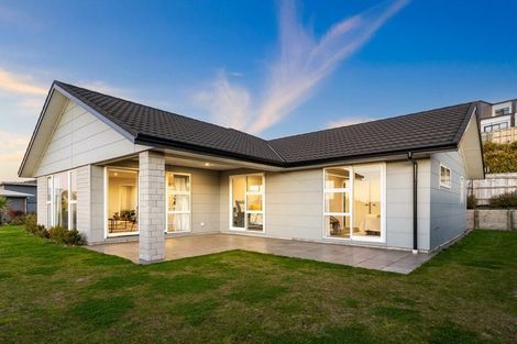 Photo of property in 47 John Burke Drive, Aotea, Porirua, 5024