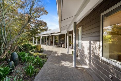 Photo of property in 47a Auckland Road, Greenmeadows, Napier, 4112