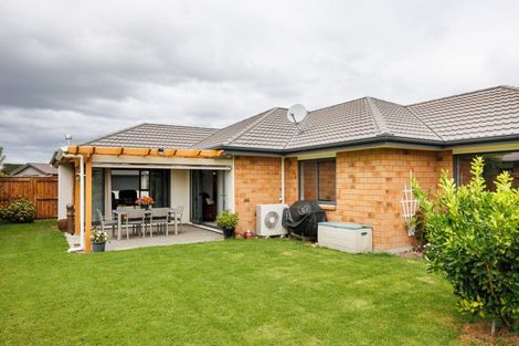 Photo of property in 13 Accolade Street, Feilding, 4702