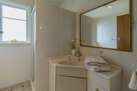 Photo of property in 36 Winchester Street, Levin, 5510