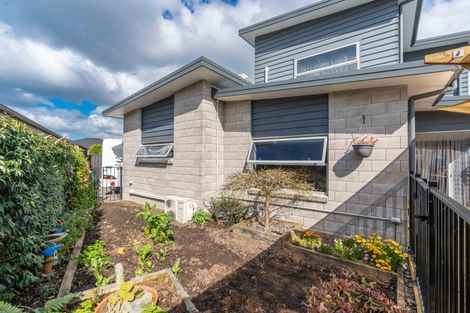 Photo of property in 1 Loftus Place, Flagstaff, Hamilton, 3210