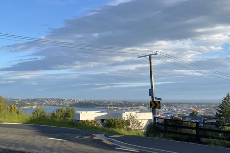 Photo of property in 1 Maori Road, Dunedin Central, Dunedin, 9016