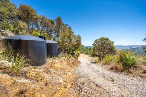 Photo of property in 425 Pakawau-bush Road, Pakawau, Collingwood, 7073