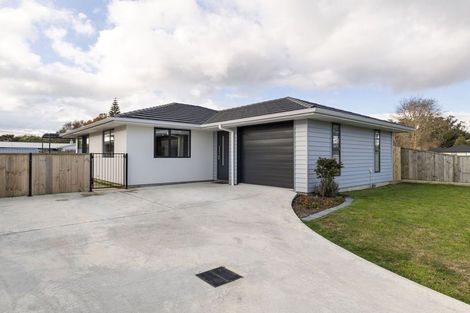 Photo of property in 11 Rayner Lane, Marton, 4710