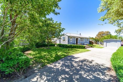 Photo of property in 15 Porritt Place, Waipukurau, 4200