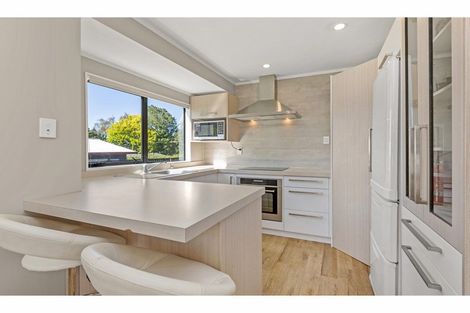 Photo of property in 52 Ranui Street, Dinsdale, Hamilton, 3204