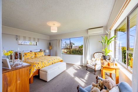 Photo of property in 163 Porangahau Road, Waipukurau, 4200