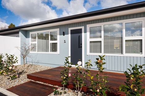 Photo of property in 524a Ferguson Street, Palmerston North, 4410