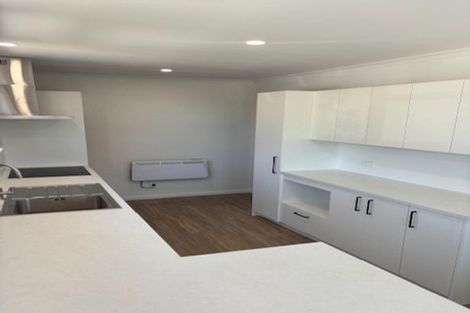 Photo of property in 115 Limbrick Street, Terrace End, Palmerston North, 4410