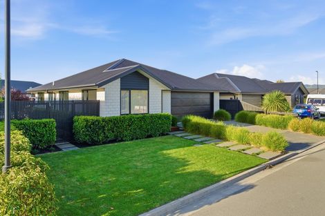Photo of property in 71 Sunline Avenue, Lincoln, 7608
