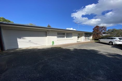 Photo of property in 2/219 Forrest Hill Road, Forrest Hill, Auckland, 0620