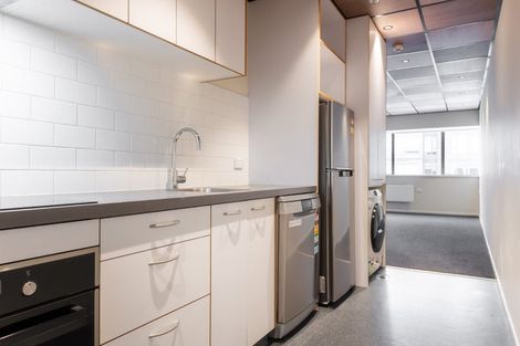 Photo of property in Te Kainga Te Aka, 203 Willis Street, Te Aro, Wellington, 6011