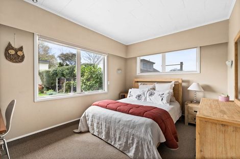 Photo of property in 209 Ikanui Road, Frimley, Hastings, 4120