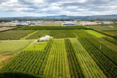 Photo of property in 5 Feltwell Place, Mangere Bridge, Auckland, 2022