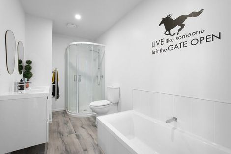 Photo of property in 239 Nelsen Ridge Road, Waikerikeri, Alexandra, 9393