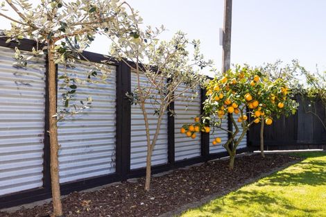 Photo of property in 1 Beveridge Place, Greenmeadows, Napier, 4112