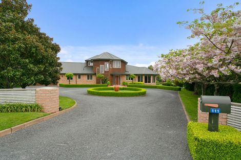 Photo of property in 111 Puahue Road, Te Awamutu, 3875