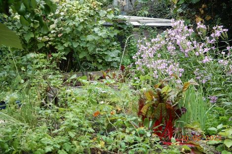 Photo of property in 45 Elbourne Street, Taradale, Napier, 4112