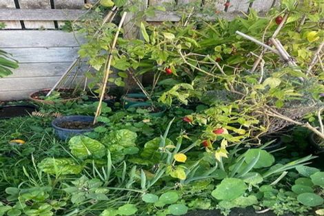 Photo of property in 23 Nairn Street, Mount Cook, Wellington, 6011