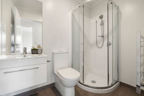 Photo of property in 4u1 Palmerston Street, Hamilton Central, Hamilton, 3204