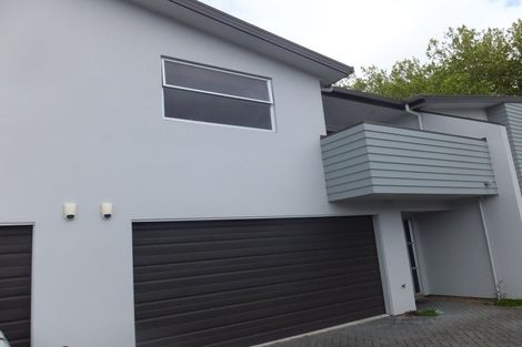 Photo of property in 46u2 Willoughby Street, Whitiora, Hamilton, 3200