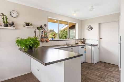 Photo of property in 22 Appleby Street, Hampden, 9410