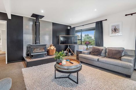 Photo of property in 48 South Belt, Methven, 7730