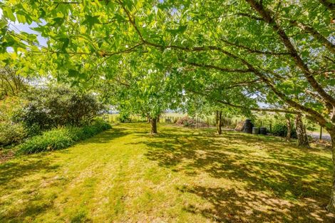 Photo of property in 37 Ellison Street, Otane, 4202