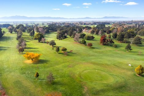 Photo of property in 7 Augusta Place, Morrinsville, 3300