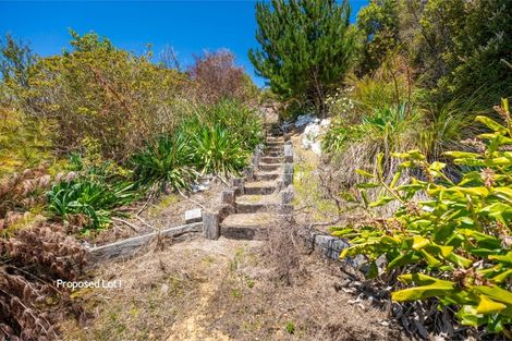 Photo of property in 425 Pakawau-bush Road, Pakawau, Collingwood, 7073